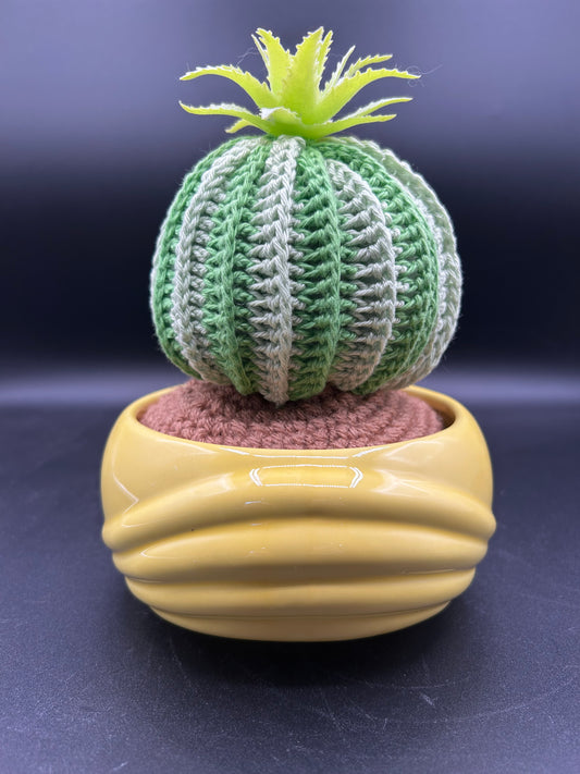 Succulent #1